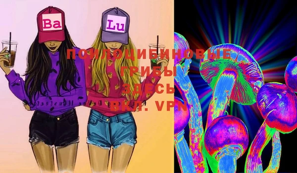 мдпв Бугульма