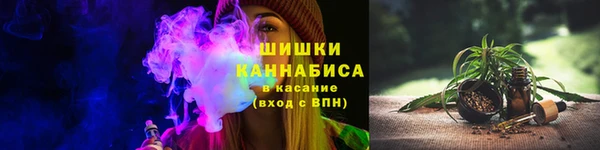 мдпв Бугульма