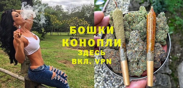 соль ск Бронницы